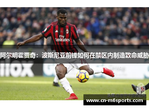 阿尔明霍贾奇：波斯尼亚前锋如何在禁区内制造致命威胁