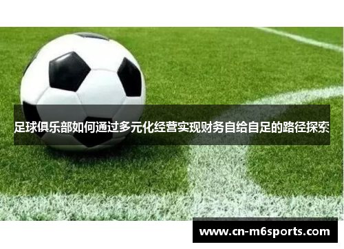 足球俱乐部如何通过多元化经营实现财务自给自足的路径探索